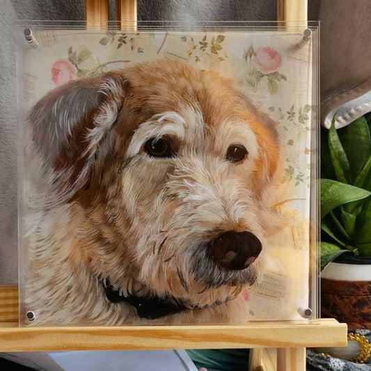 3d glass painting & pet portrait needle felt (MeoWarrior) FairWonder × MeoWarrior
