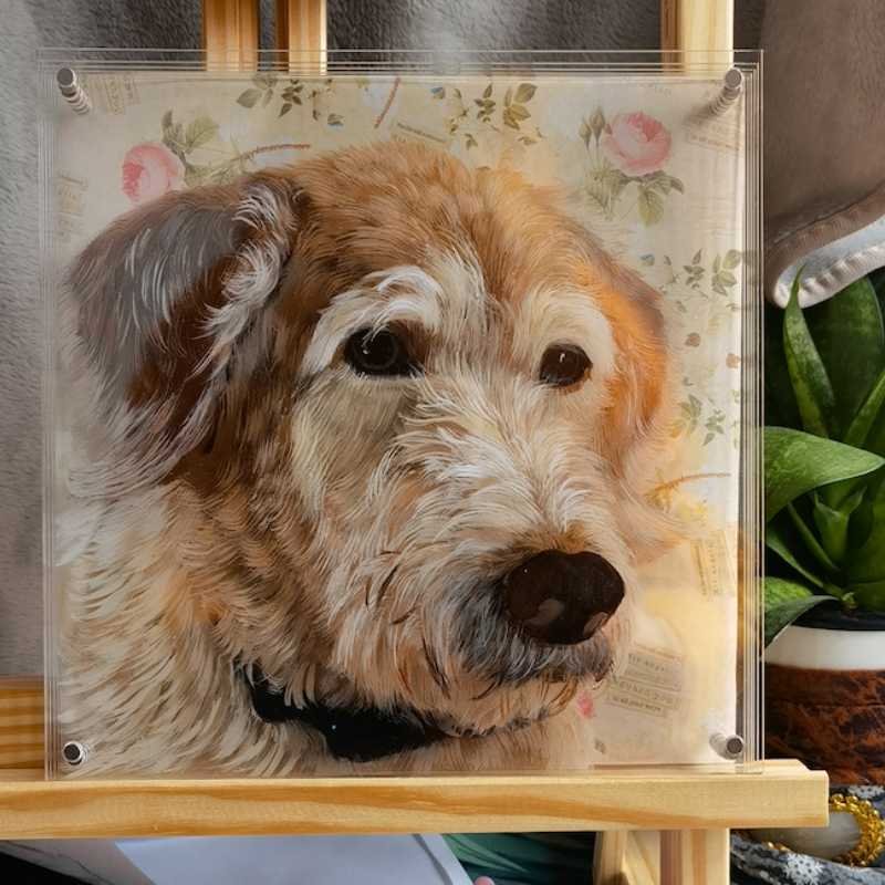 3d glass painting & pet portrait needle felt (MeoWarrior) FairWonder × MeoWarrior