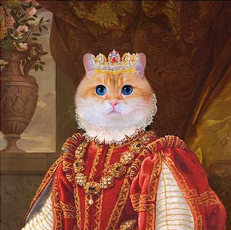 Custom Pet Portrait Royal, Renaissance Animal Painting, Funny Pet Lover Gift MeoWarrior